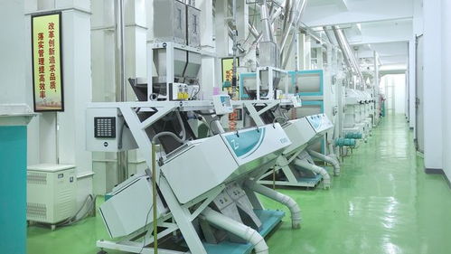 发展农产品精深加工业，促进乡村产业振兴——以电热食品加工为例